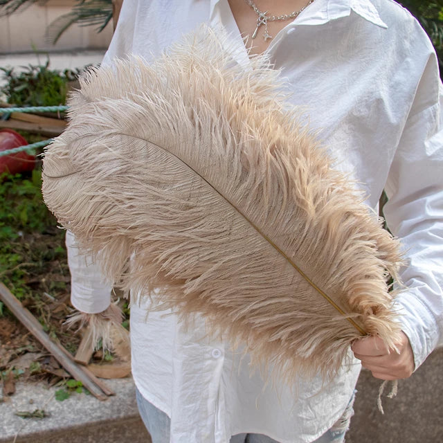 Ostrich Feather 22-24"inches ( 30 pieces ) Marie Antonette Old Gold 