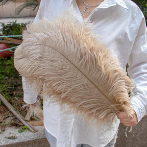 Ostrich Feather 22-24"inches ( 30 pieces ) Marie Antonette Old Gold 