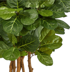 5’ Fiddle Leaf Fig Artificial Tree Marie Antonette 