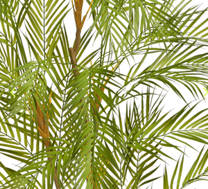 Areca Artificial Palm Tree Marie Antonette 
