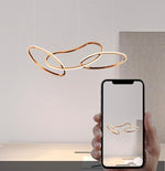 Saint Malo Ring Suspension Light Marie Antonette 
