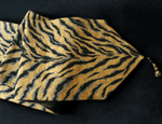 Tigre Stripe Runner marie antonette 