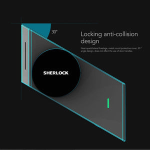 Sherlock Fingerprint + Password Smart Door Lock Marie Antonette 